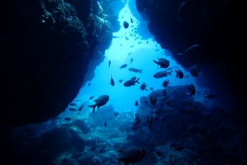 ラビリンス・瀬底島