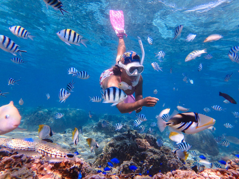 シュノーケルクリアのまとめ