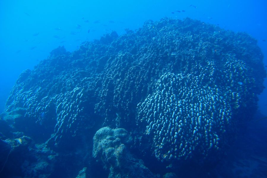 沖縄本島北部　瀬底島