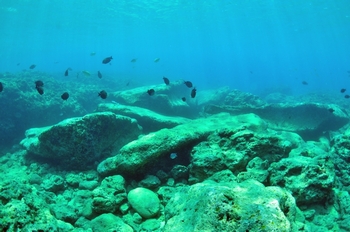 砂辺遺跡ポイント　沖縄の海底遺跡