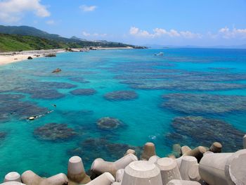 沖縄本島北部ゴリラチョップ