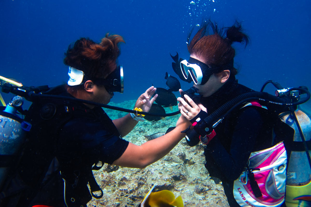 バディブリージングとは?