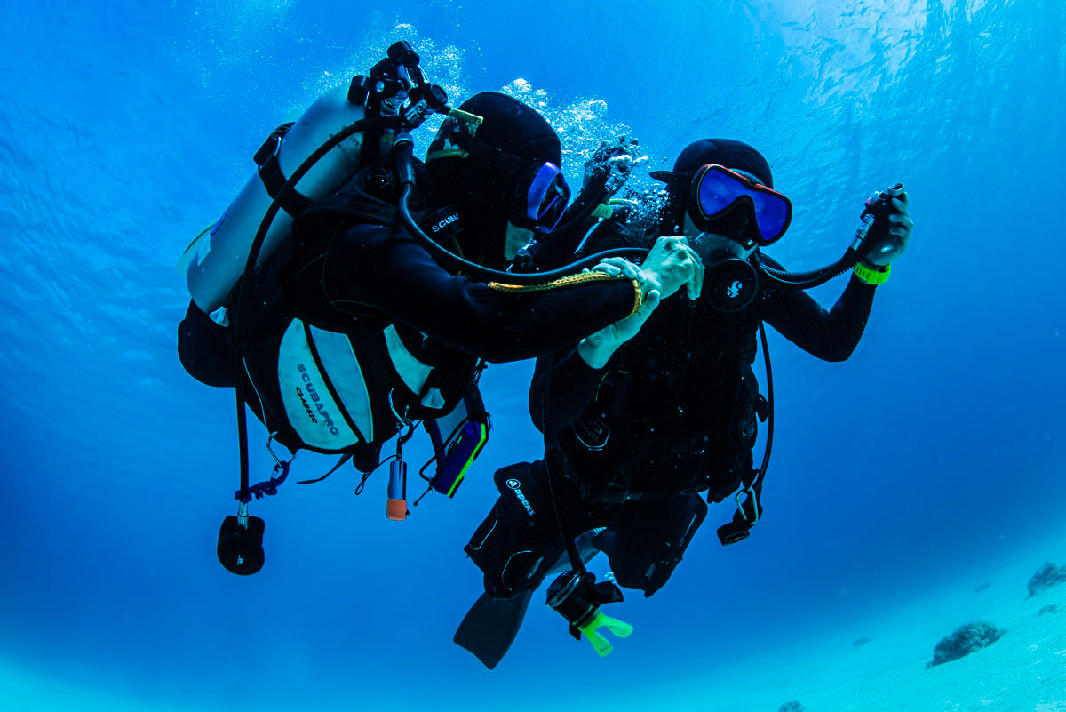 バディブリージングの浮上方法