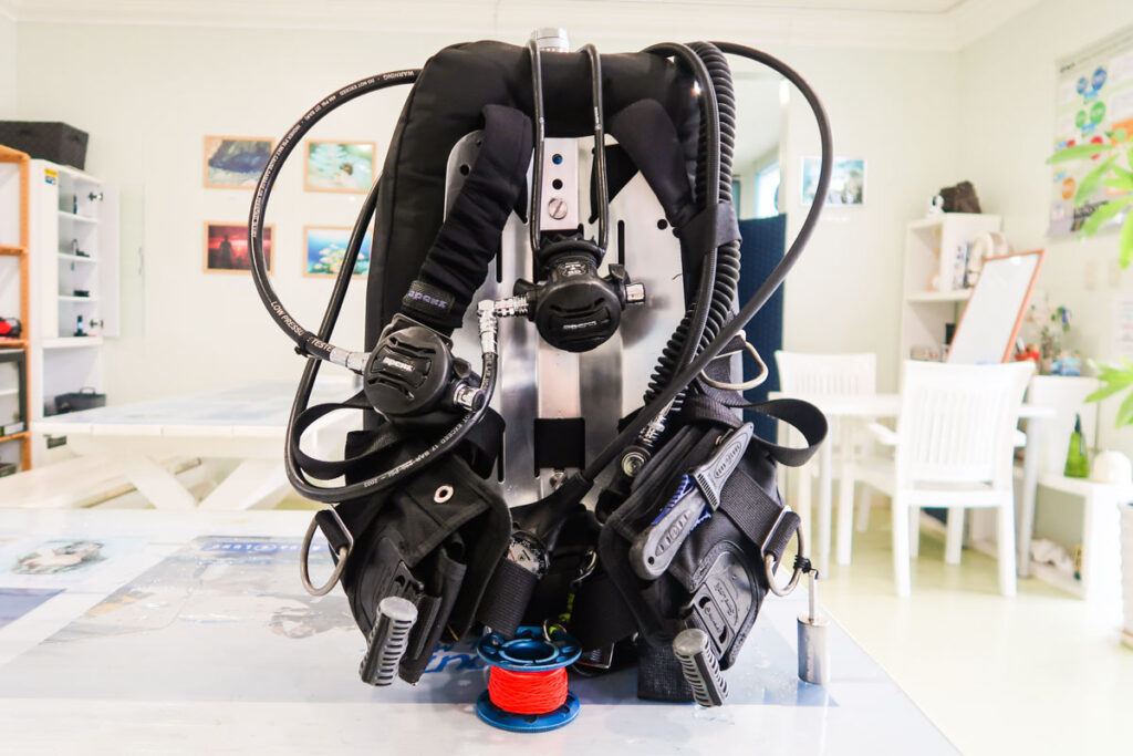 バディブリージングアセント