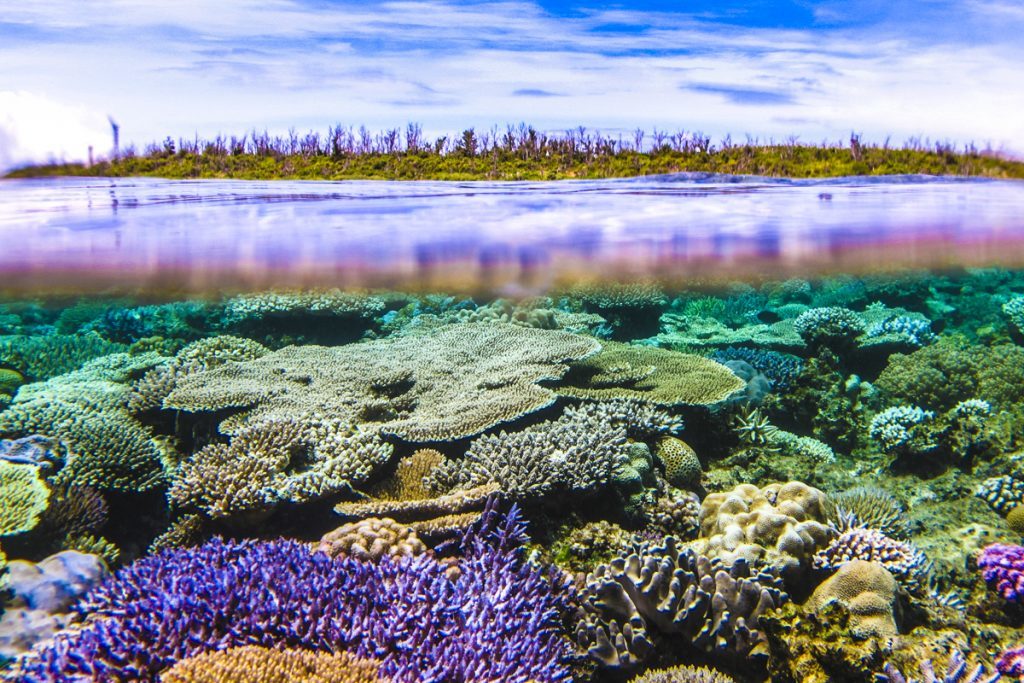 水納島の半水面と珊瑚礁