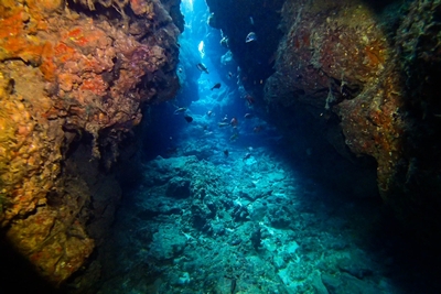 水納島・瀬底島ファンダイビング！！！