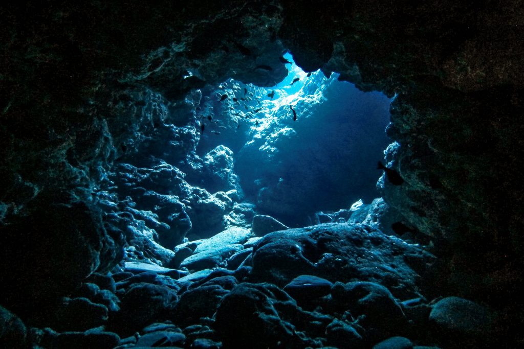 慶良間諸島 座間味島 チシ