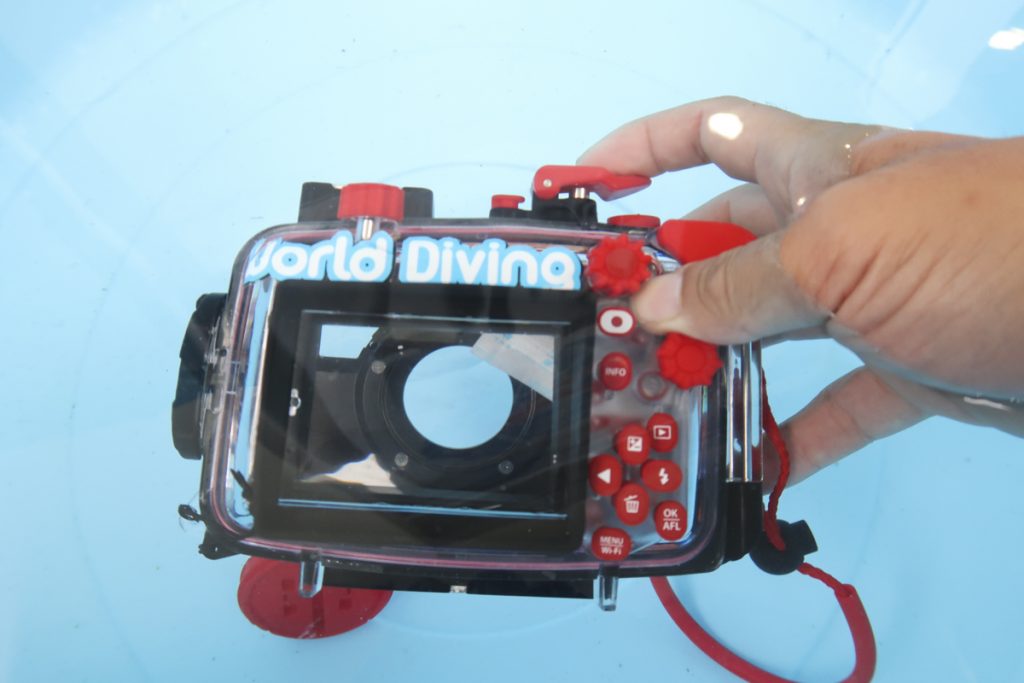 水中ハウジングのセッティング方法・デジタルカメラ編 | ワールドダイビング