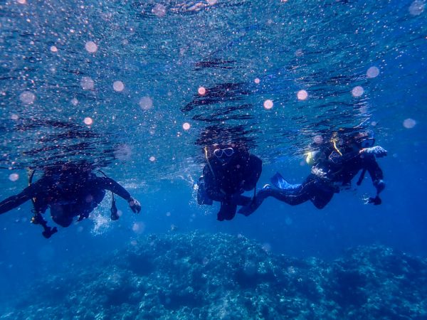 沖縄はもちろん、世界でも潜れるダイビングライセンス！
