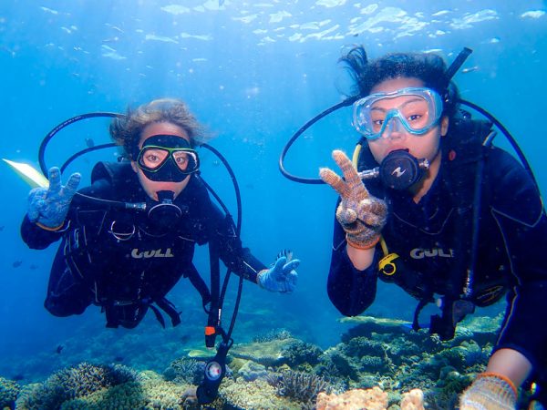 浅瀬の珊瑚が綺麗な北部でライセンス取得後ファンダイビング