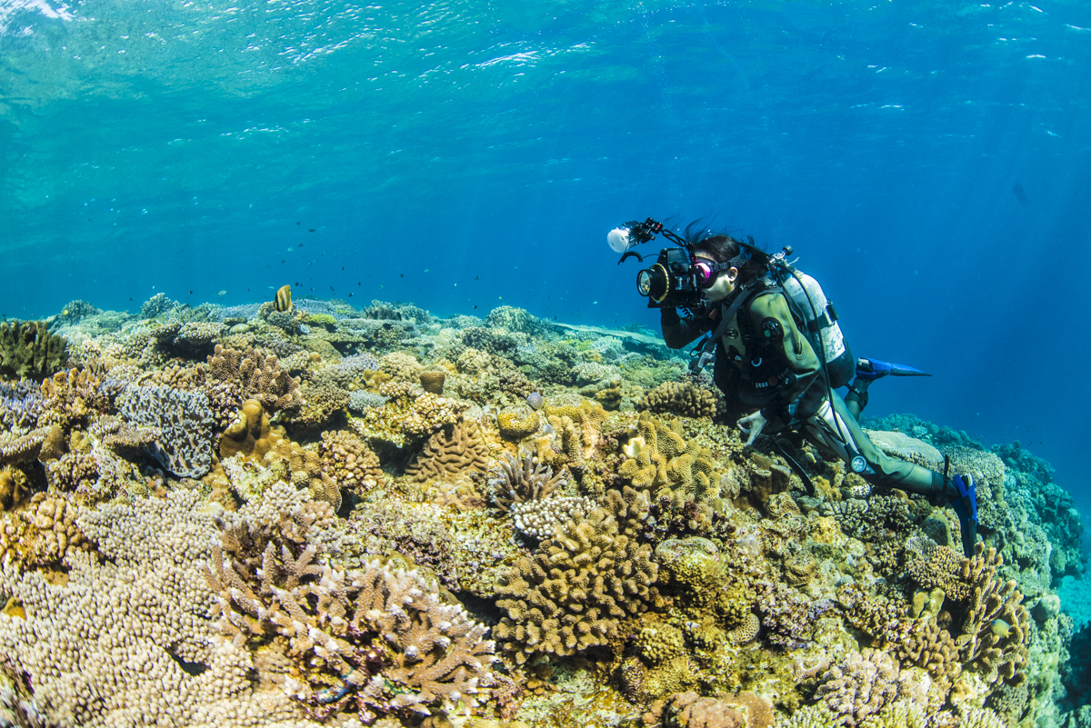 水納島の珊瑚を撮影する女性カメラマン