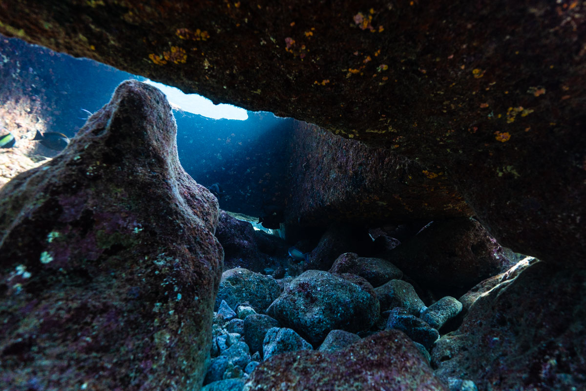 アクアポリス(海上都市跡)のまとめ