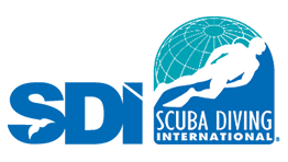 SDI(エスディーアイ)・ダイビング指導団体(教育機関)