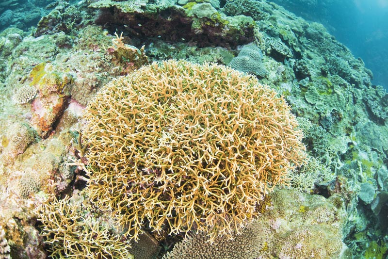 © 海の写真素材の無料(フリー)提供について