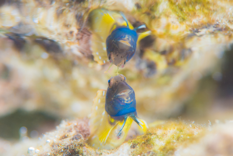 © 海の写真素材の無料(フリー)提供について