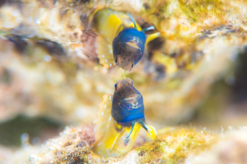 © 海の写真素材の無料(フリー)提供について