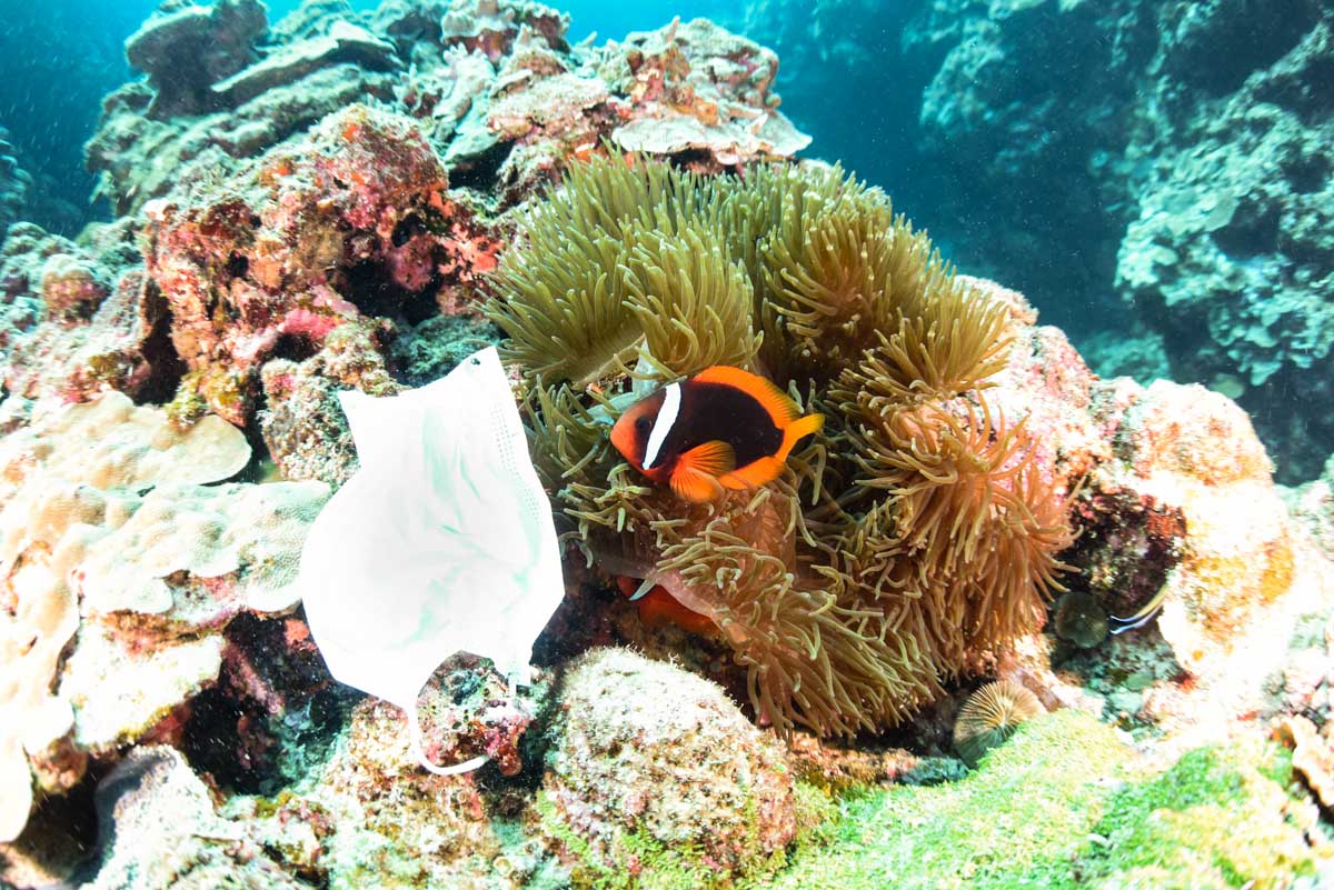 不織布マスクと沖縄の海