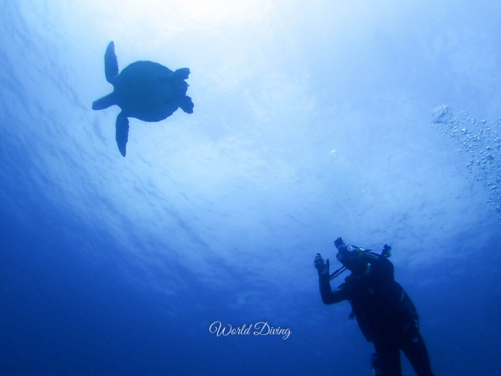 挑め！！PADI アドバンスウォーターコース♪