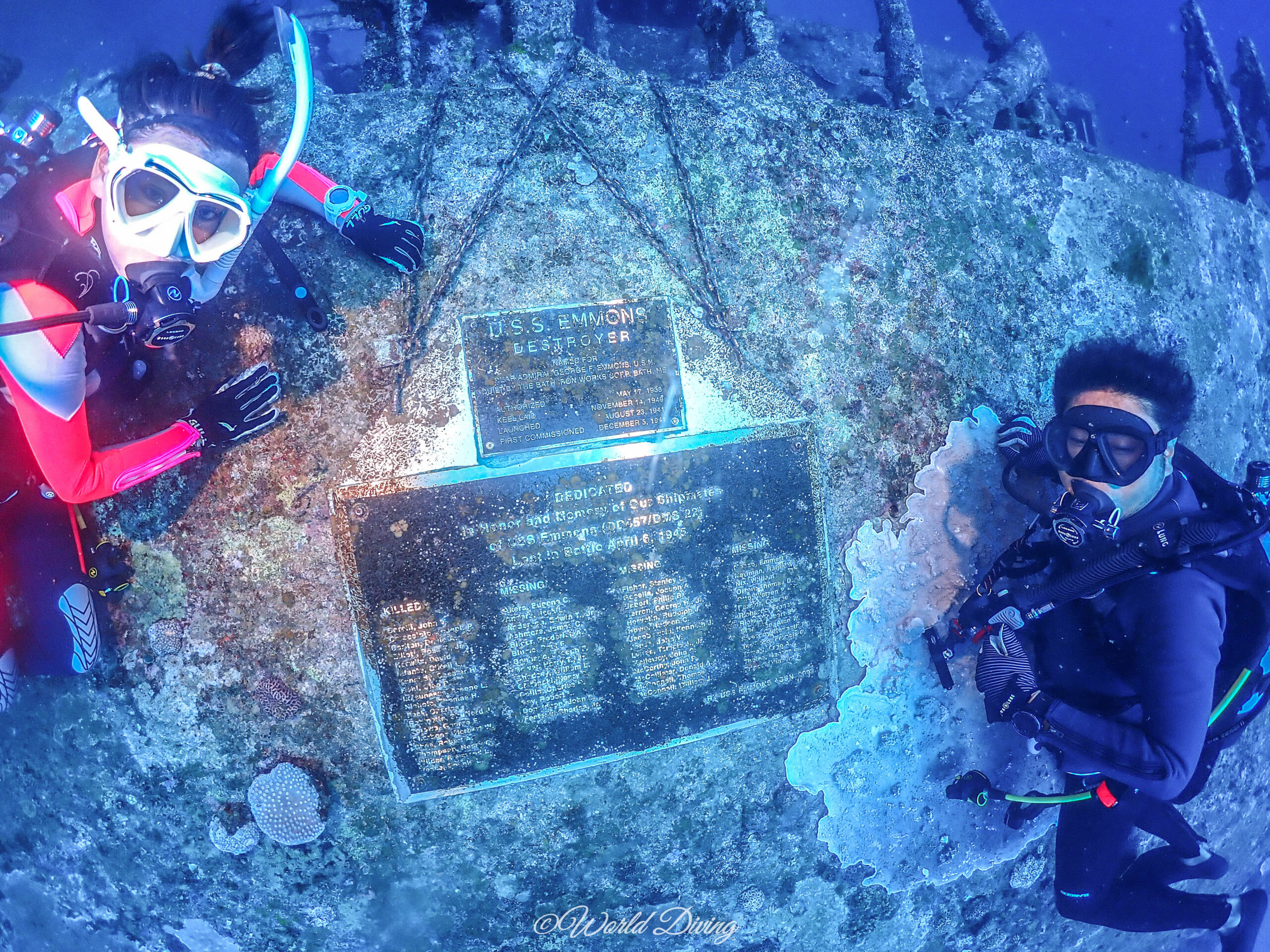半永久使用可能 AQUALUNG アクアラング 10L ダイビング用 半永久使用可能 AQUALUNG アクアラング 10L ダイビング用
