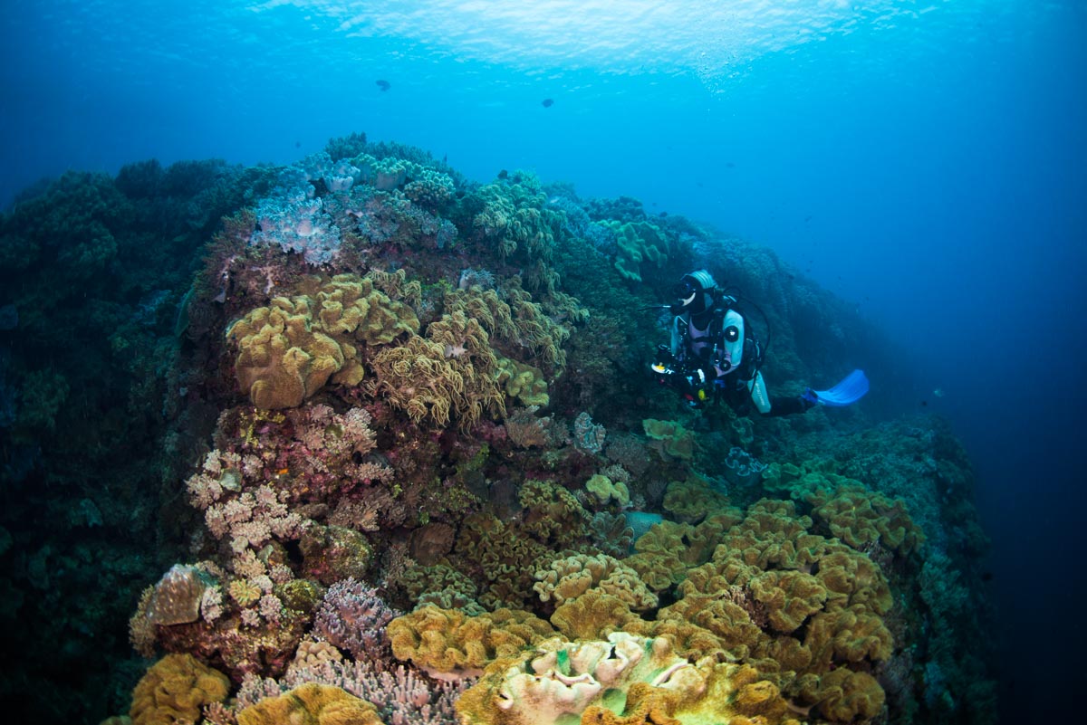 初心者・北谷の海底ピラミッド【沖縄の海底遺跡】ダイビングポイント