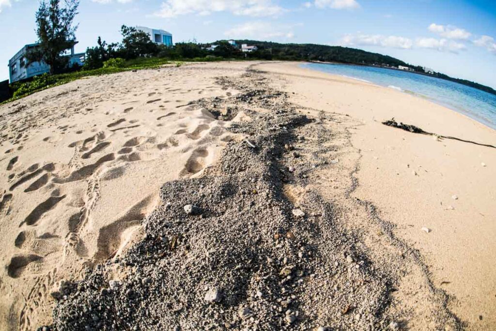 小笠原の噴火・沖縄本島のビーチに「軽石」が漂着 ①