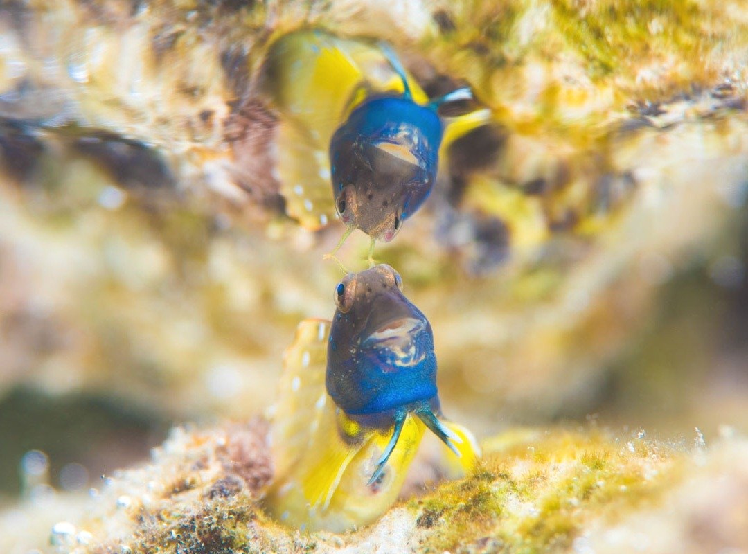 海の写真素材© 無料(フリー)提供について