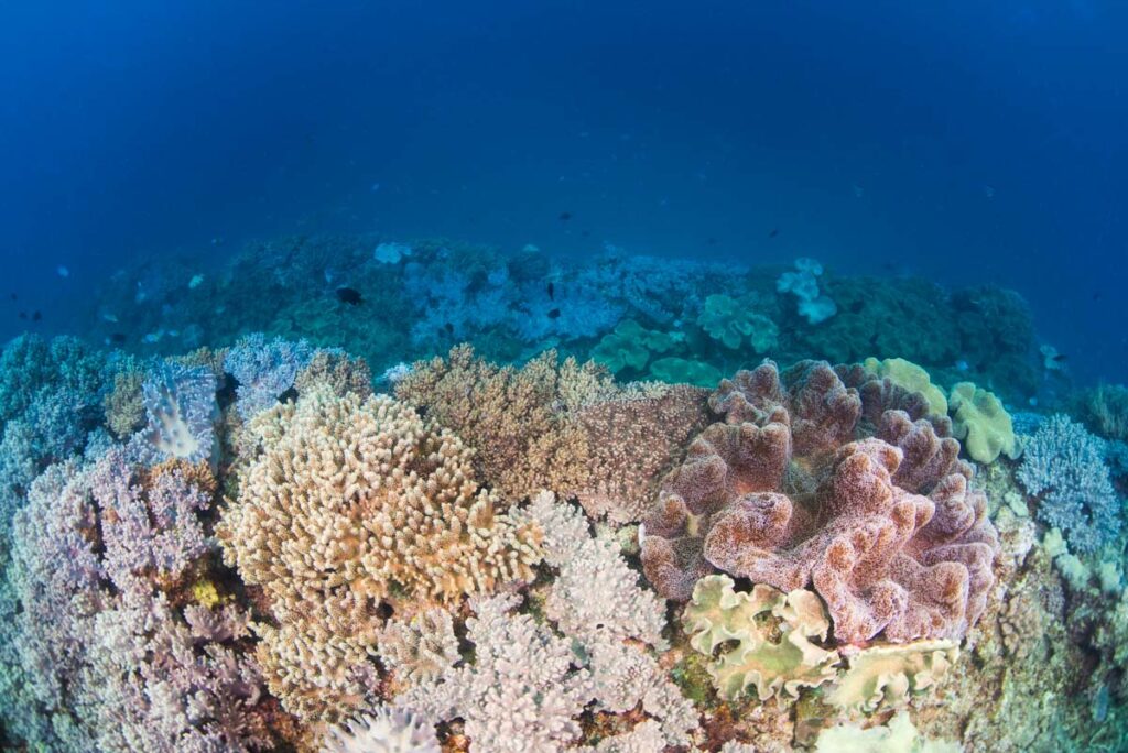 海底ピラミッド・沖縄北谷の海底遺跡 ①