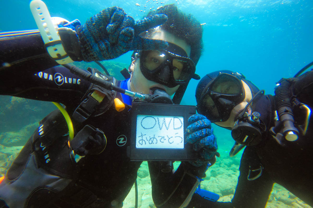 高評価の沖縄ダイビングライセンス
