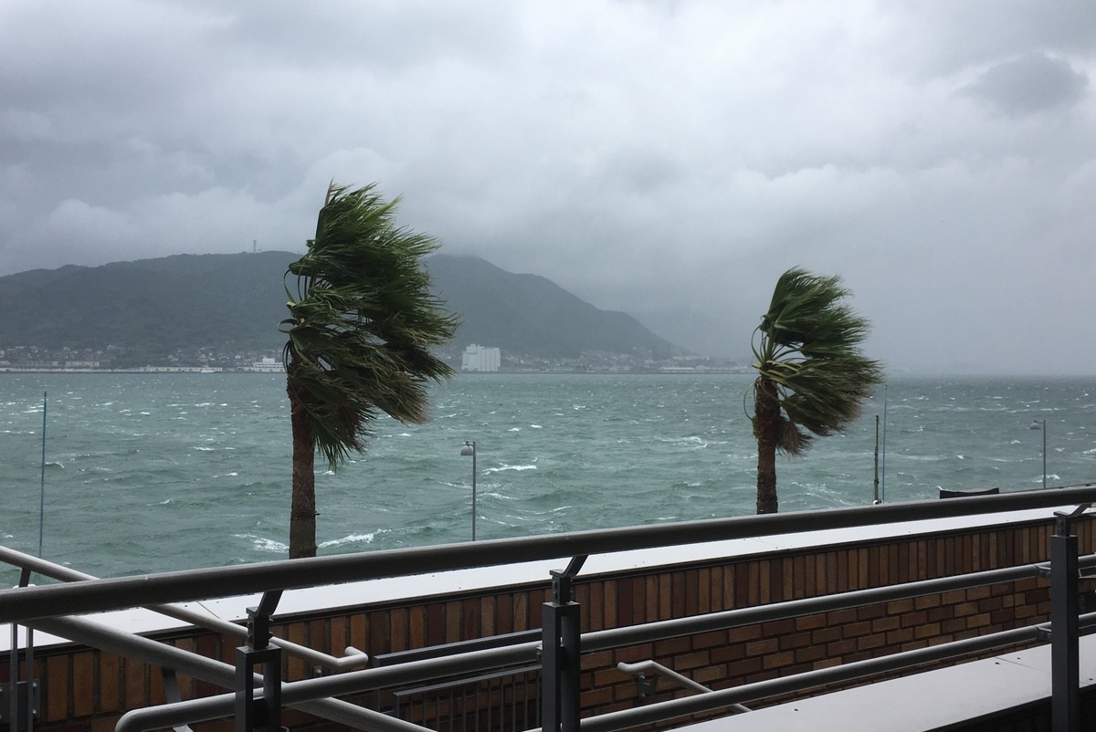 台風のさまざまな疑問や質問