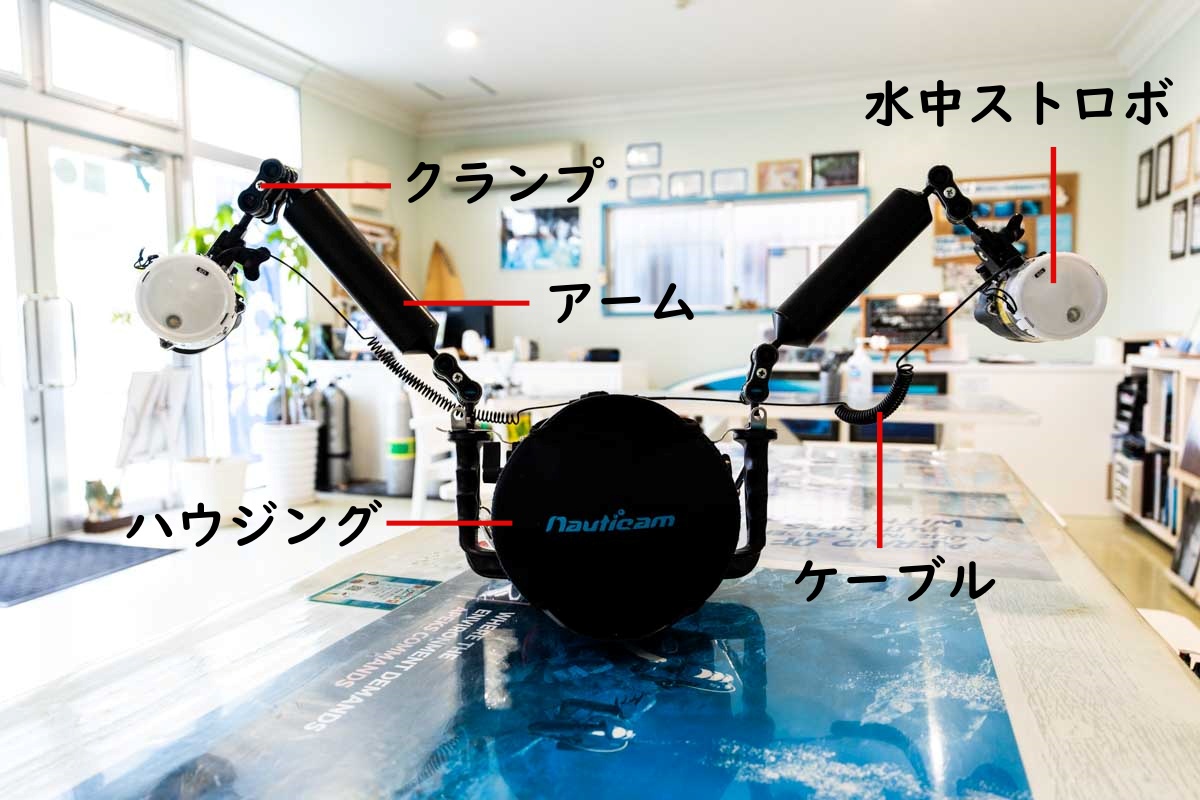 ミラーレス一眼と一眼レフのダイビングでの撮影方法