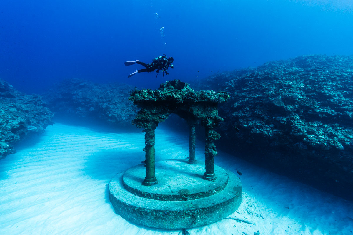 与論島の海中宮殿でおすすめのダイビングショップ