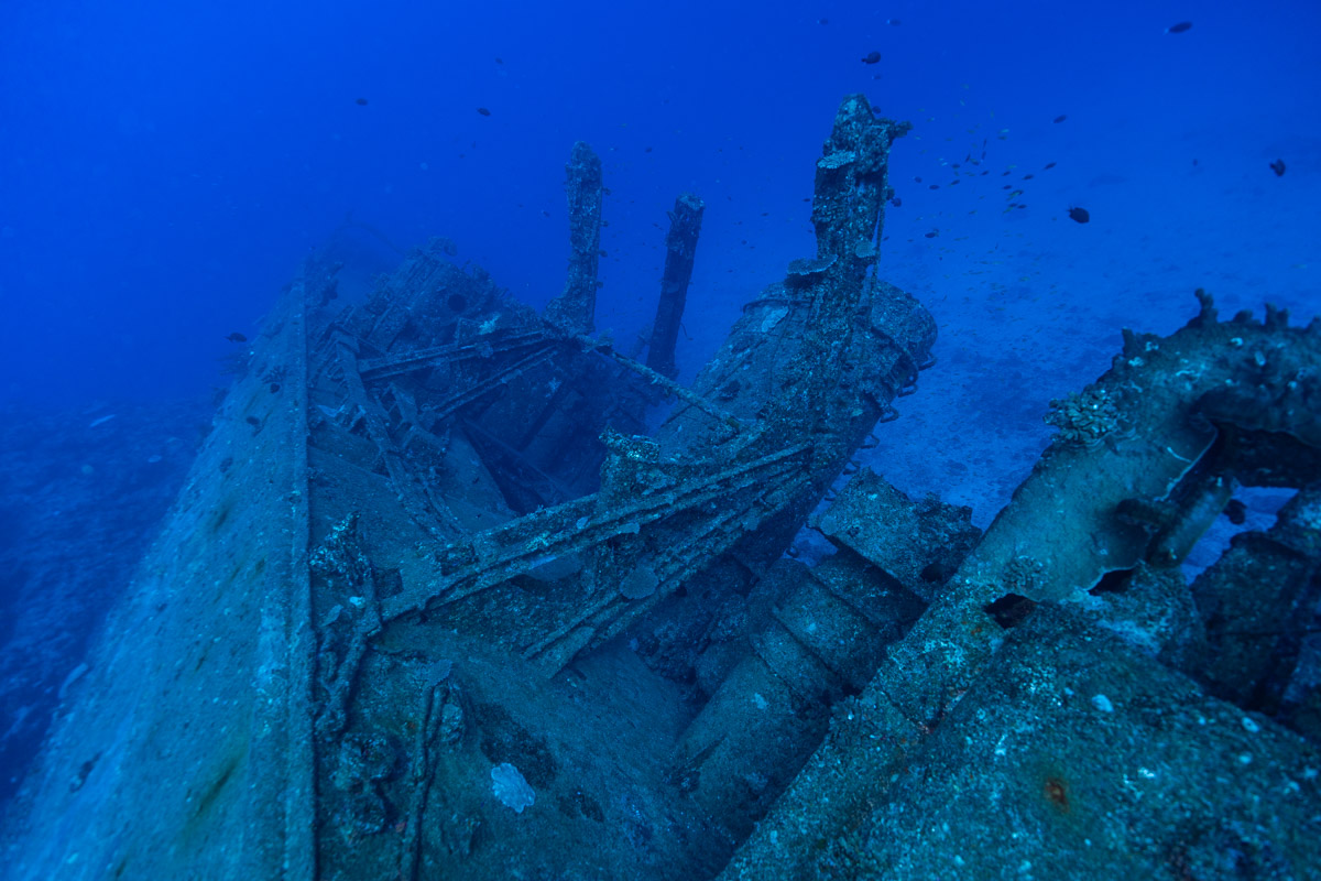 与論島の海中宮殿でおすすめのダイビングショップ