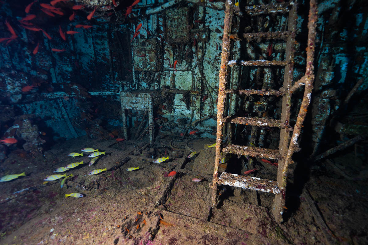 与論島の「沈船あまみ」とは?