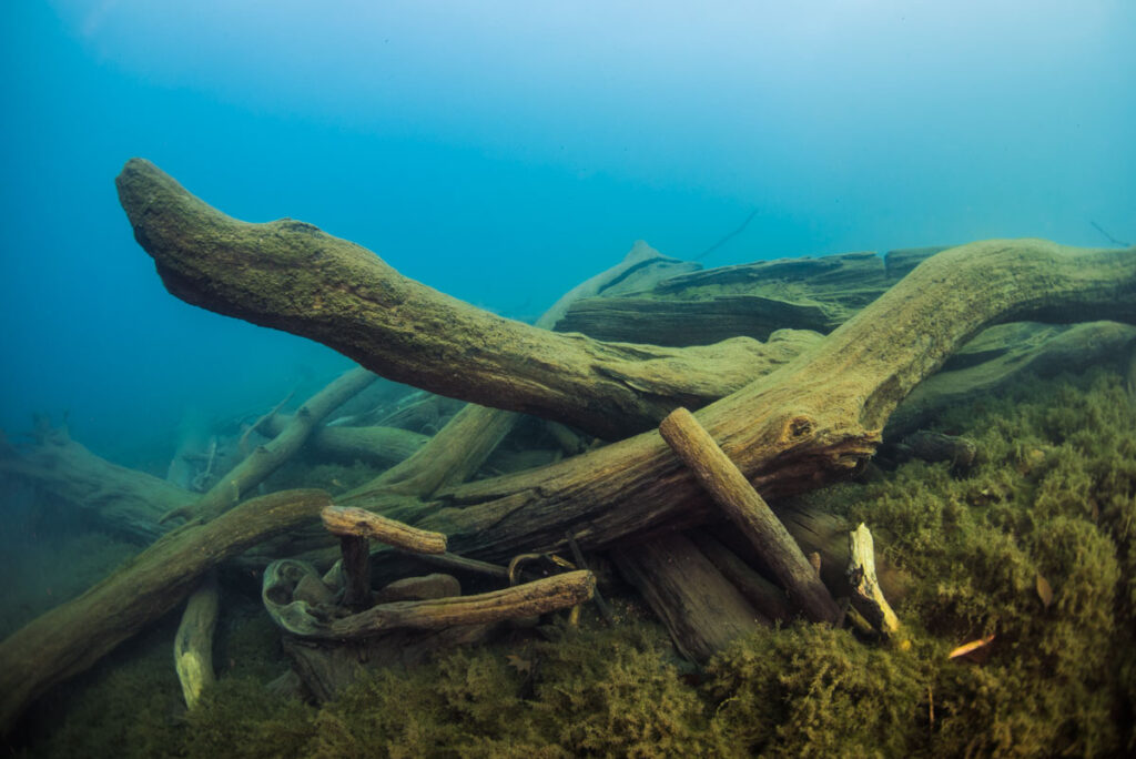支笏湖ダイビング | 海底遺跡の柱状節理と太古の森に沈む流木