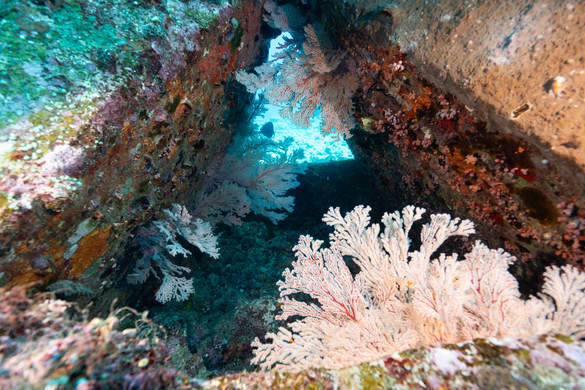 世界初「半潜水型浮遊式海洋構造物」