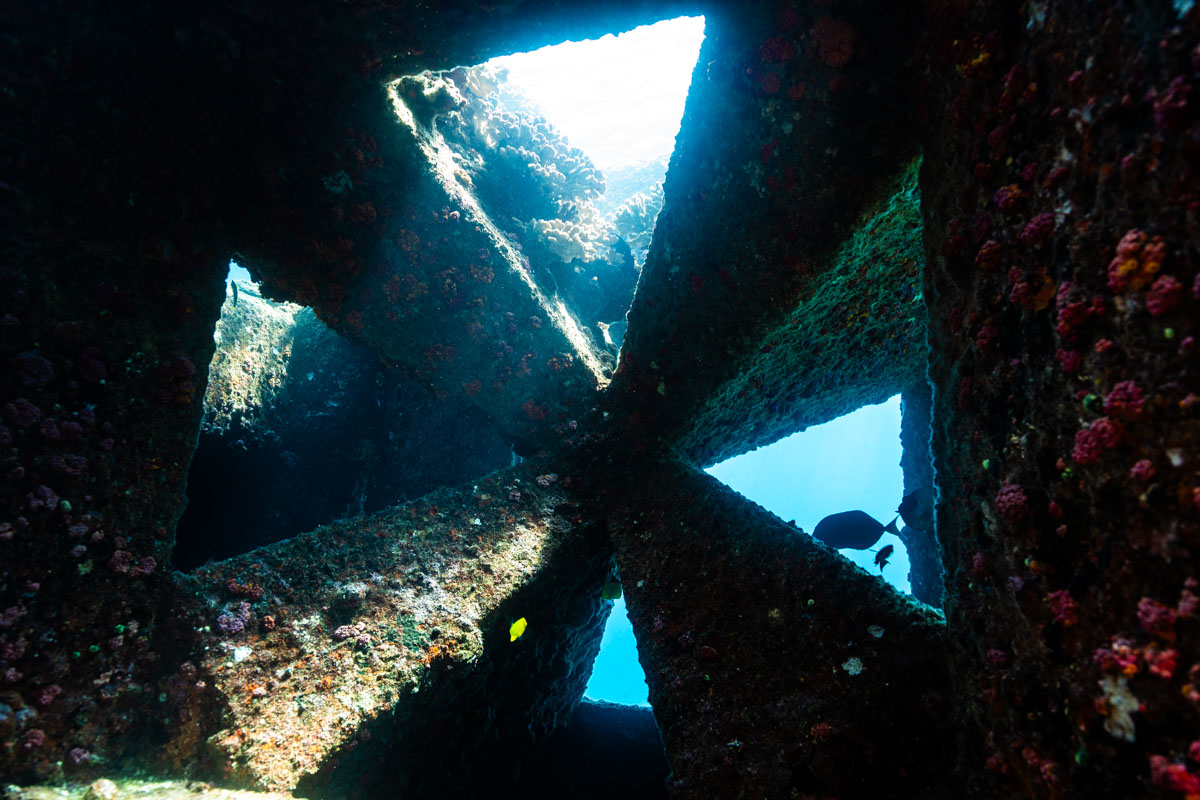 アクアポリス(海上都市跡) | 海の未来都市が眠る海底遺跡