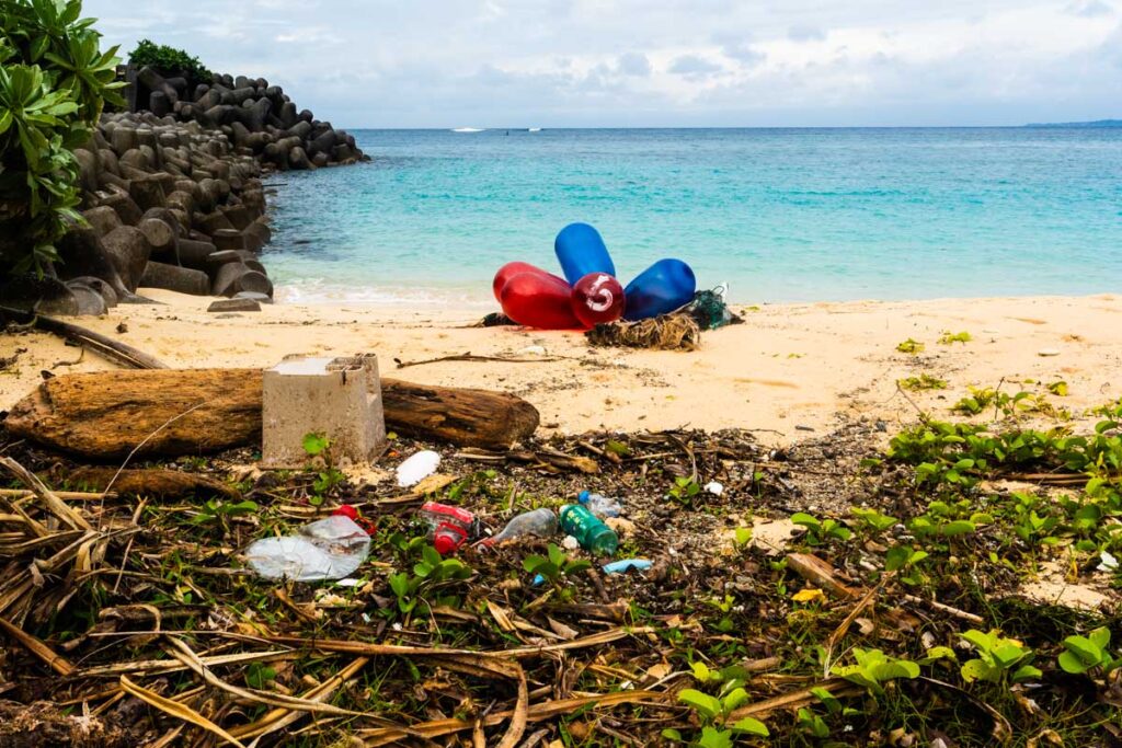 海のプラスチックごみ・沖縄本島北部