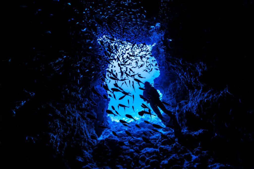 万座ドリームホールとダイバー