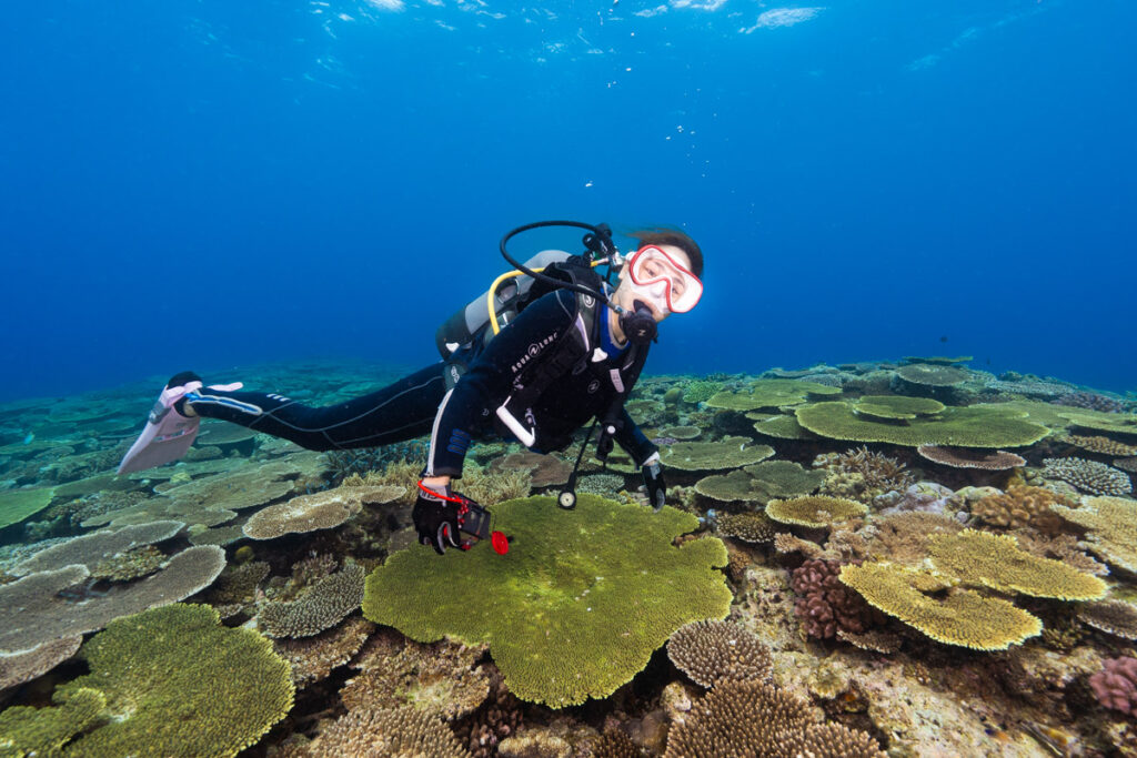 ダイバーとサンゴ