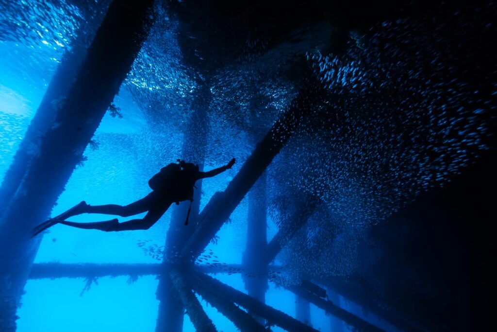 桟橋の下とダイバー・ゴリラチョップ