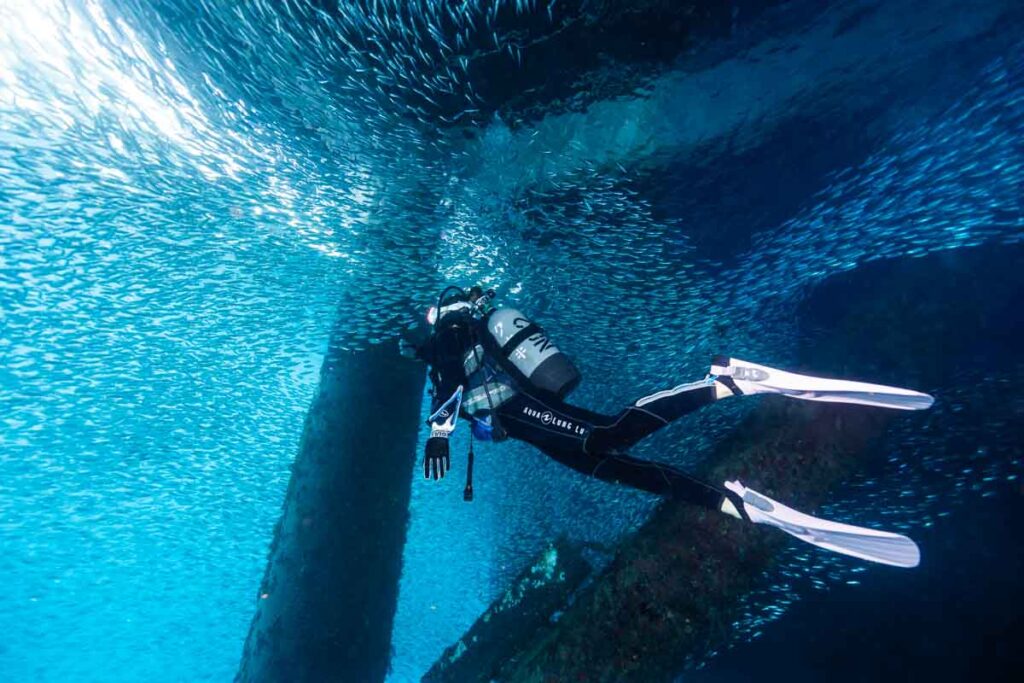桟橋の下とダイバー・ゴリラチョップ ②