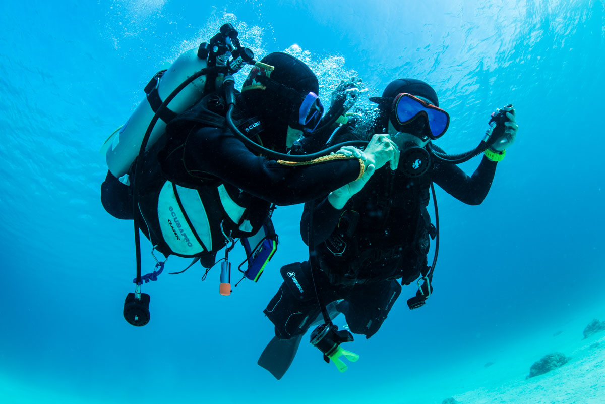 教本から消えたバディブリージング