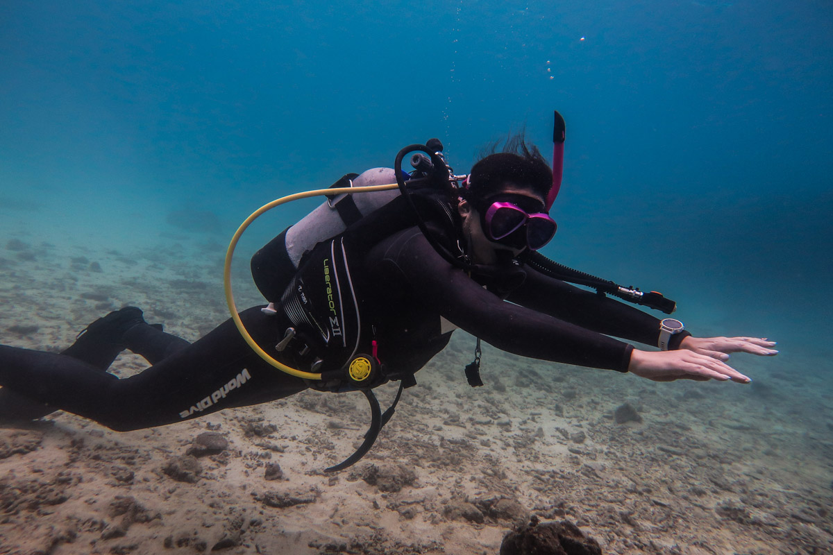 フィンピボット